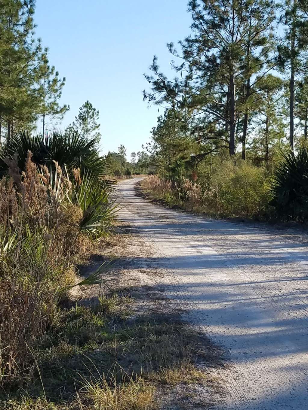 Seminole State Forest | Eustis, FL 32736 | Phone: (352) 360-6675