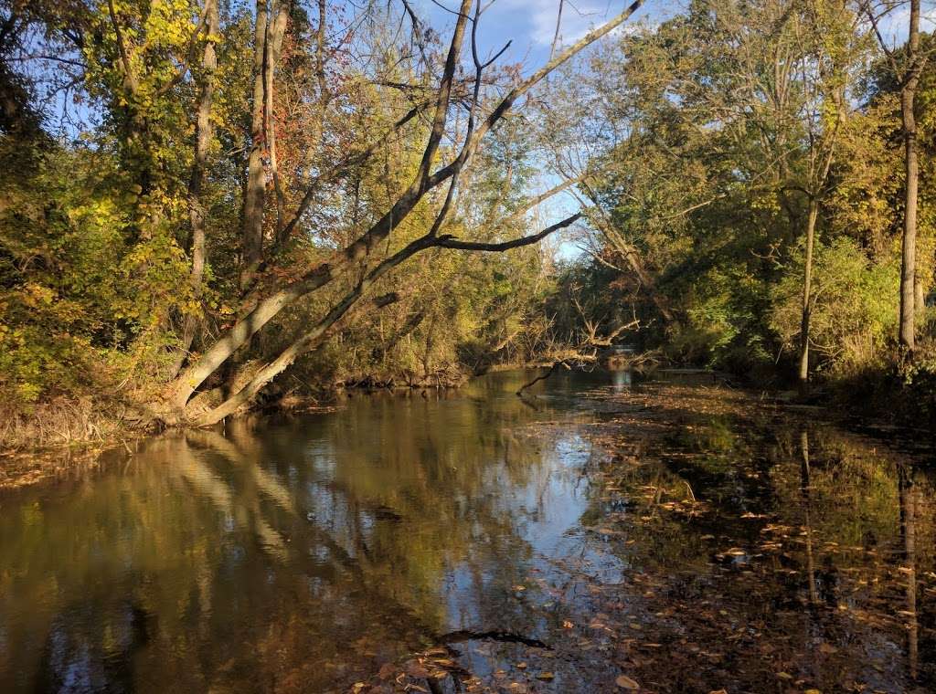 Codorus Trophy Trout | Codorus Creek, Spring Grove, PA 17362, USA