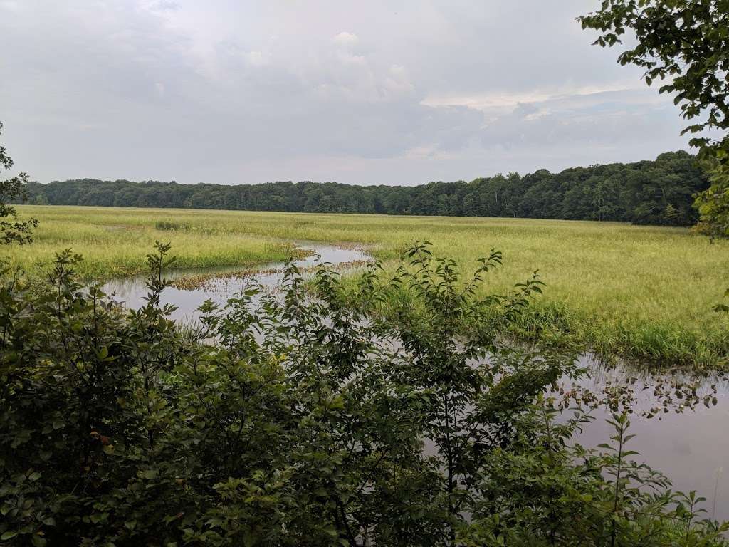 Joseph V. Gartlan Great Marsh Trailhead Parking | Gunston Rd, Lorton, VA 22079