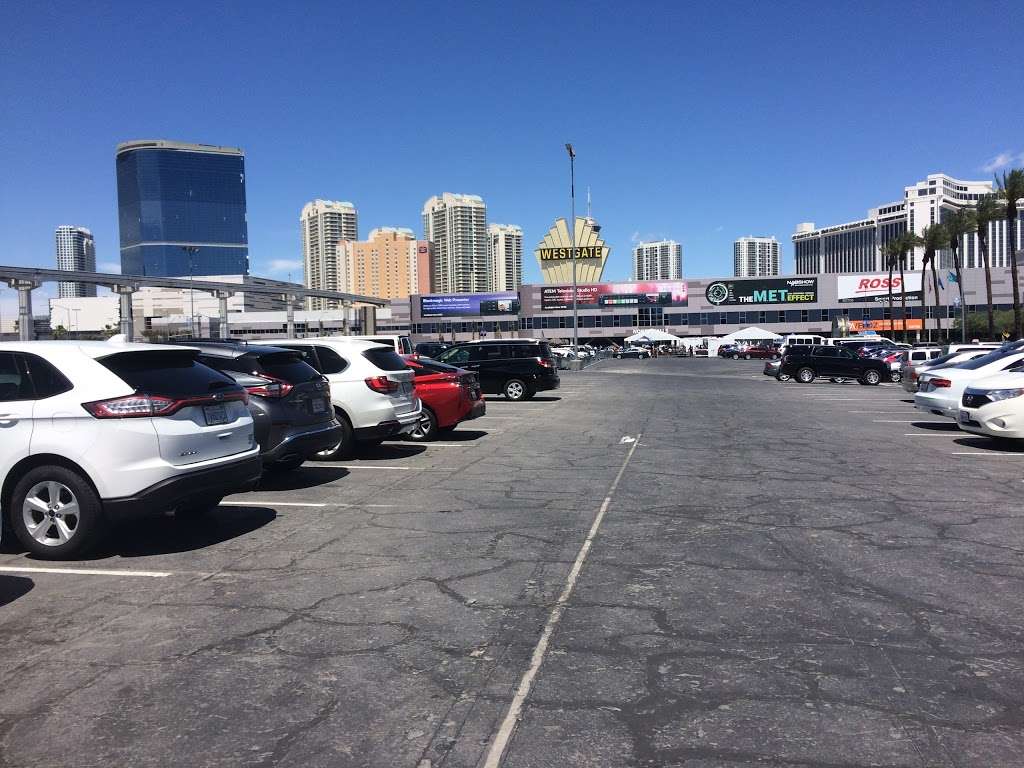 Silver Lot #1 & #2 | Las Vegas, NV 89109, USA