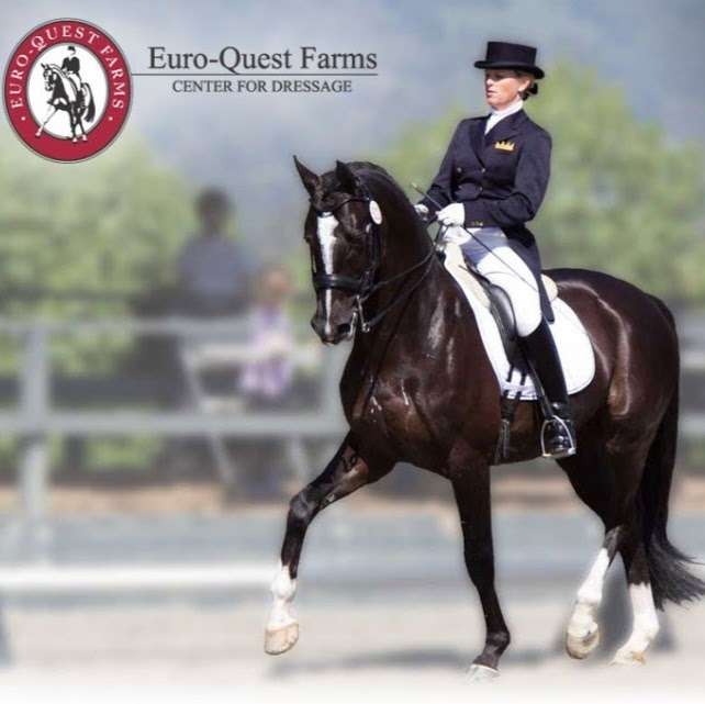 Euro-Quest Farms Center For Dressage | 5900 Old School Rd, Danville, CA 94588, USA | Phone: (510) 755-9700