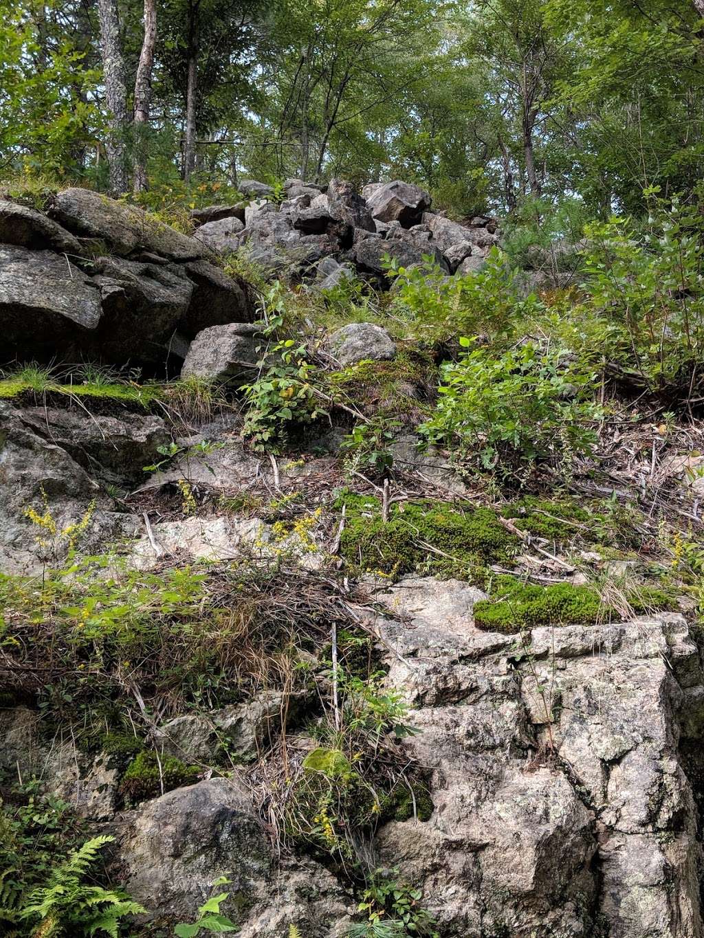 Bartell Trail Head | 326 Rte 13, Brookline, NH 03033, USA