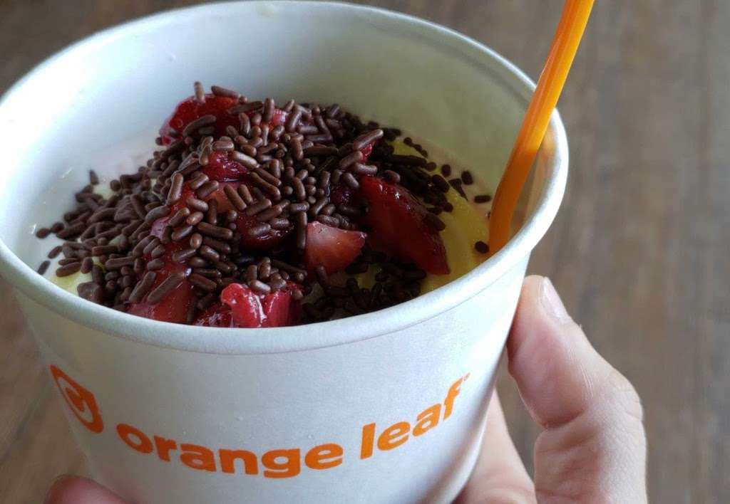 Orange Leaf Frozen Yogurt | 5123 Garth Rd, Baytown, TX 77521, USA | Phone: (281) 837-7569