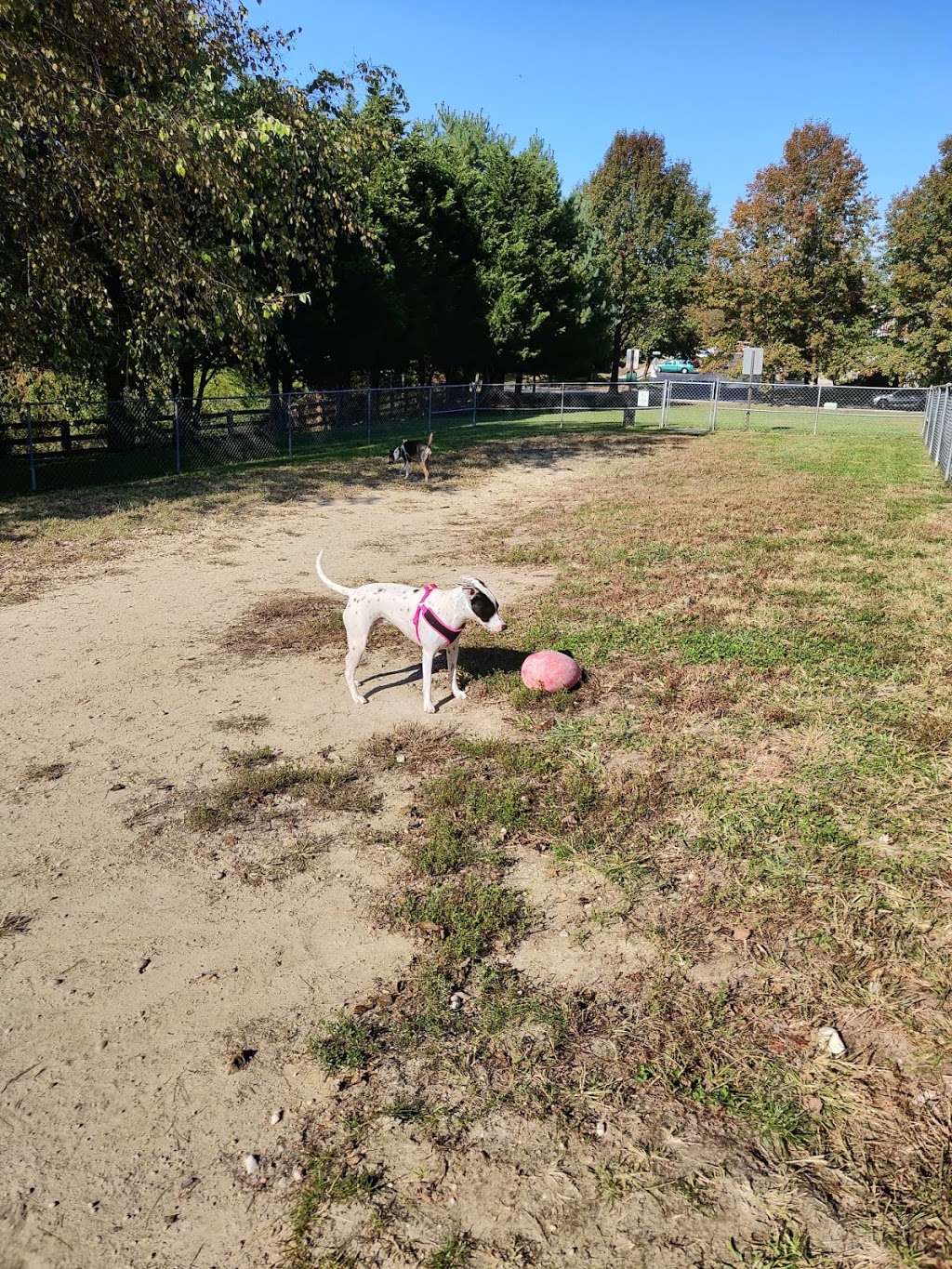 quail run dog park