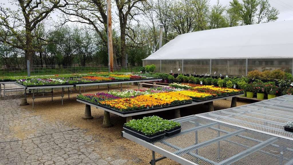 Busy Bs Garden Center | W7449 Co Rd X, Delavan, WI 53115, USA | Phone: (262) 749-3030