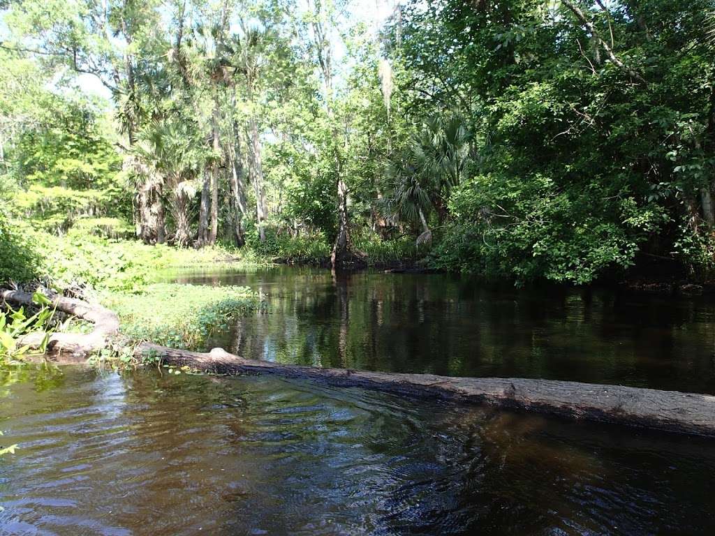 Black Water Camp | Wekiva River Rd, Sorrento, FL 32776, USA