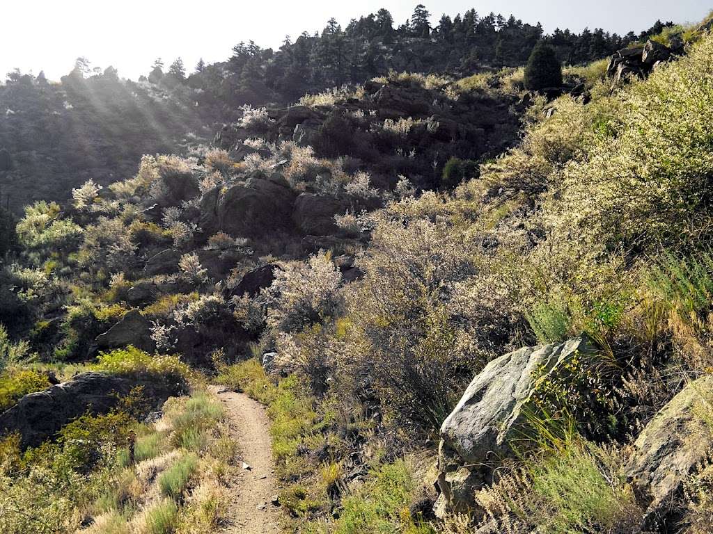 Mayhem Gulch Trail | Mayhem Gulch Trail, Golden, CO 80403