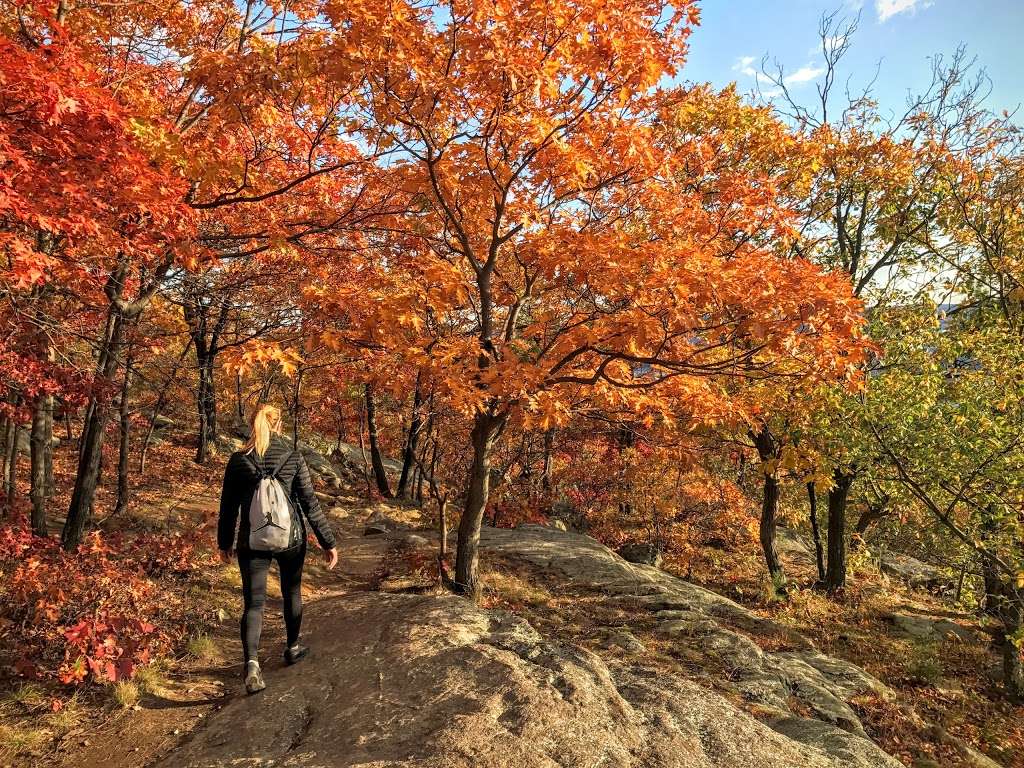 Breckneck Ridge Hiking Trail | 3258 Bear Mountain-Beacon Hwy, Cold Spring, NY 10516, USA