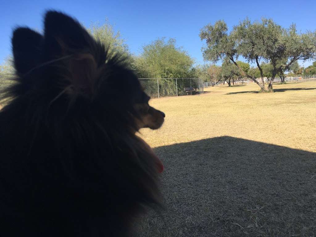 Paradise Valley Small Dog Dog Park | Phoenix, AZ 85032, USA