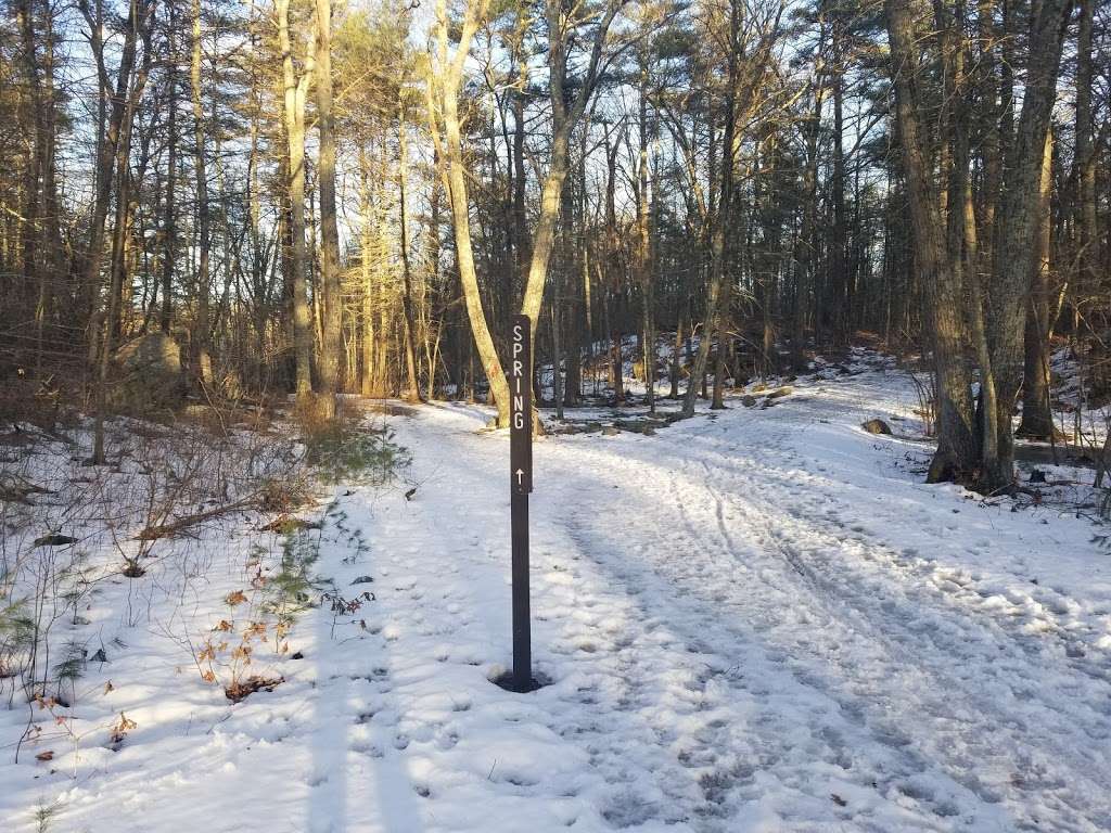 F. Gilbert Hills State Forest | 45 Mill St, Foxborough, MA 02035, USA | Phone: (508) 543-9084
