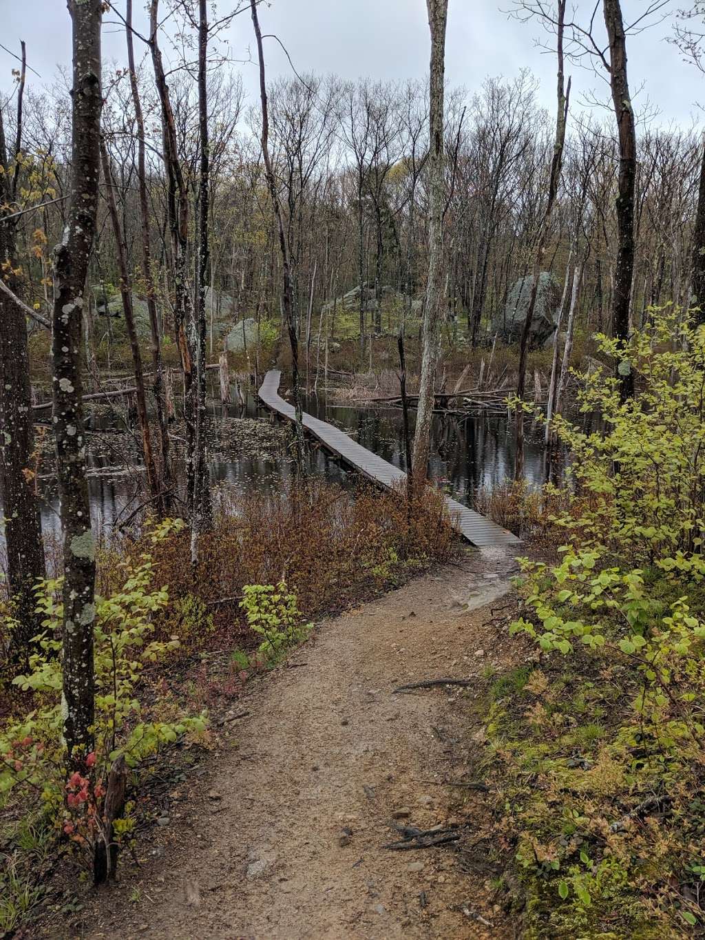 Old Tompson Street Cart Path | Bray St, Gloucester, MA 01930, USA