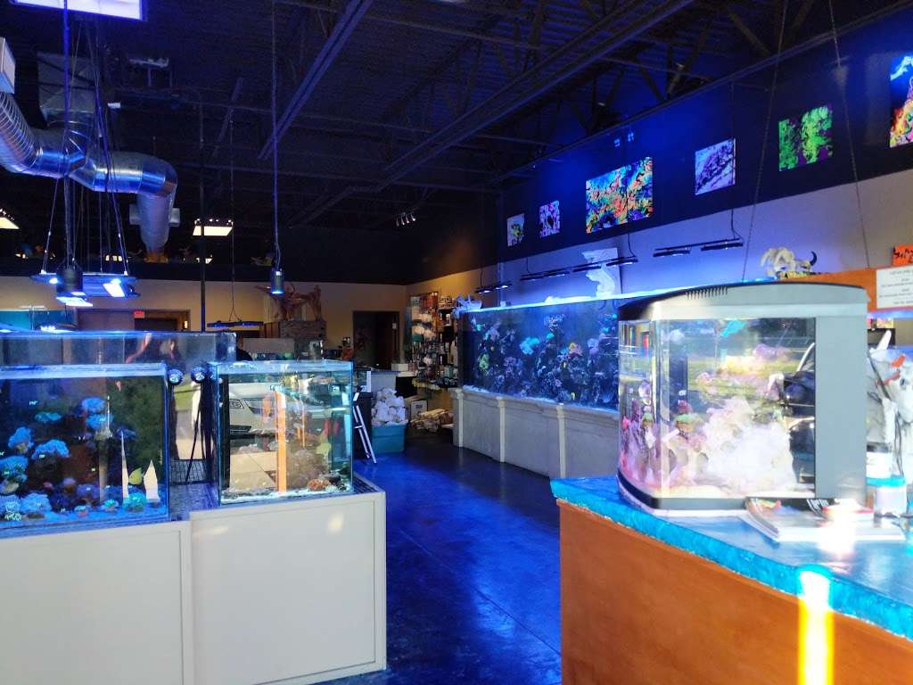 Paradise Aquatics | 16064 Foster, Overland Park, KS 66085, USA | Phone: (913) 339-9060