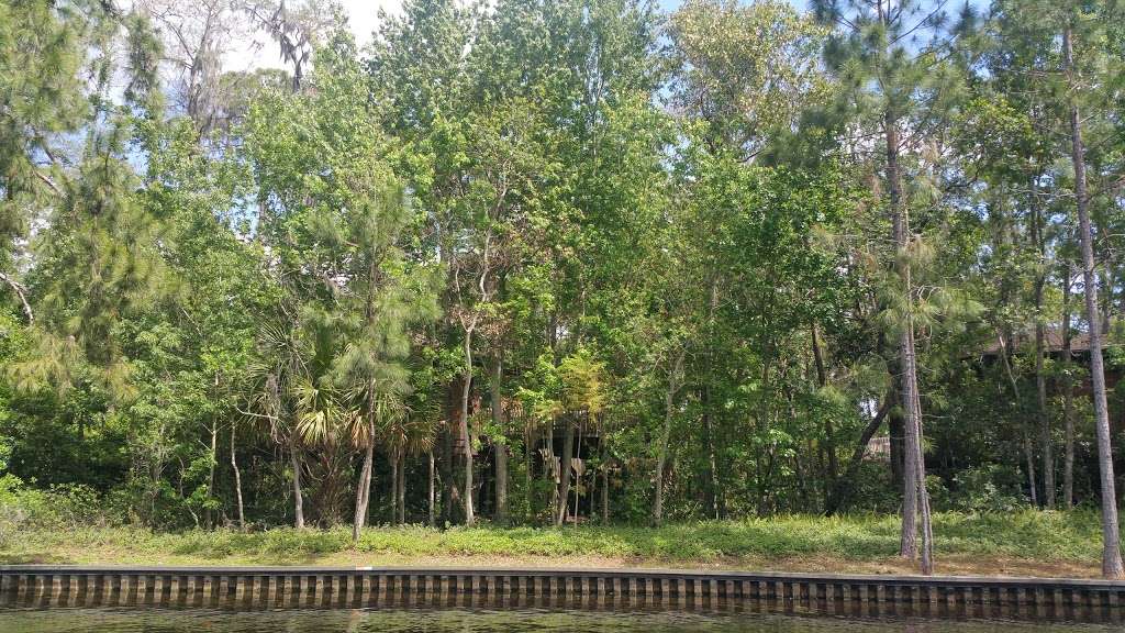 Boat Launch - Treehouse Villas at Disneys Saratoga Springs Reso | Lake Buena Vista, FL 32830, USA