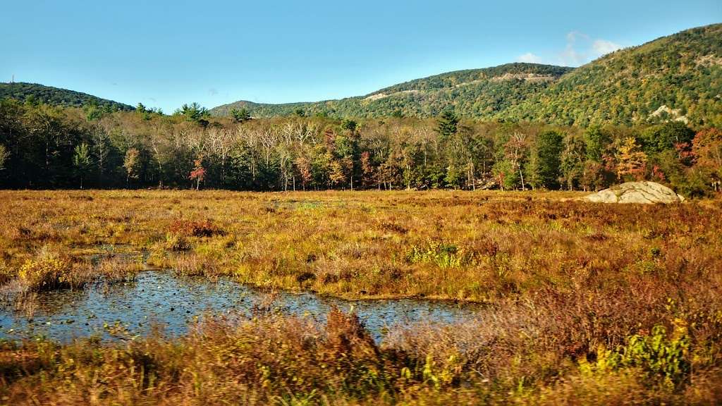 Constitution Marsh Audubon Center and Sanctuary | 127 Warren Landing Rd, Garrison, NY 10524, USA | Phone: (845) 265-2601