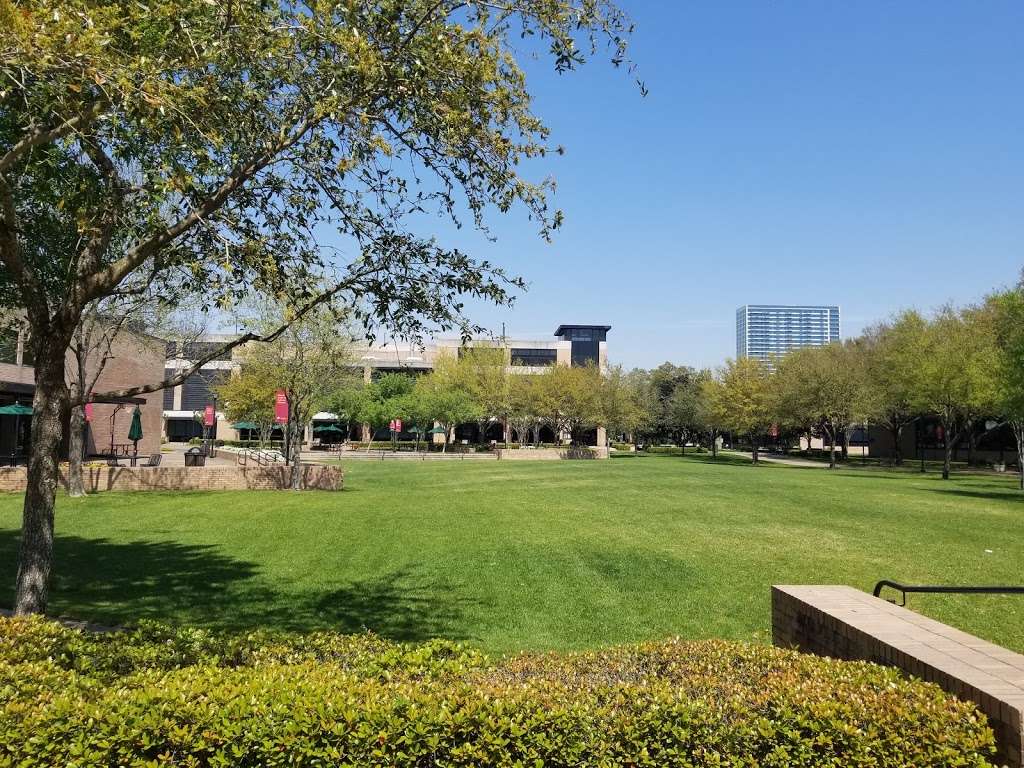 University of St. Thomas | 3800 Montrose Blvd, Houston, TX 77006, USA | Phone: (713) 522-7911