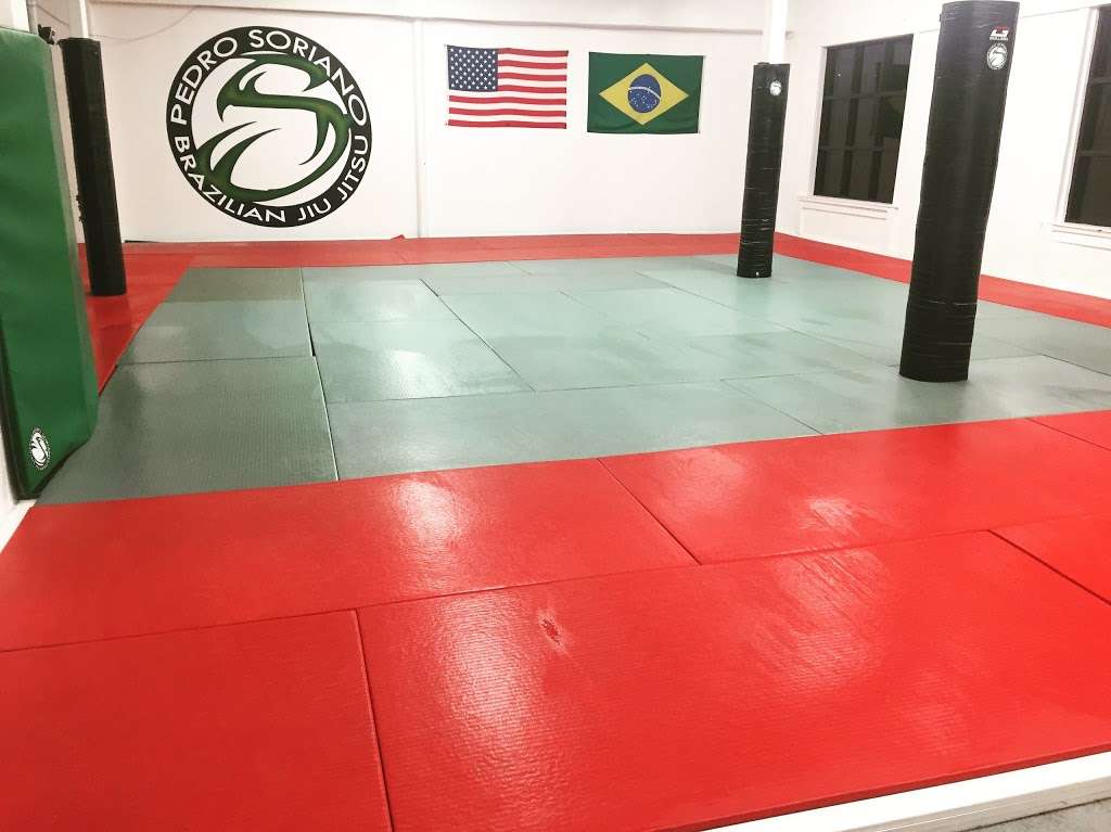 Pedro Soriano Brazilian Jiu-Jitsu Club | 235 N Gaffey St, San Pedro, CA 90731, USA | Phone: (310) 519-1024