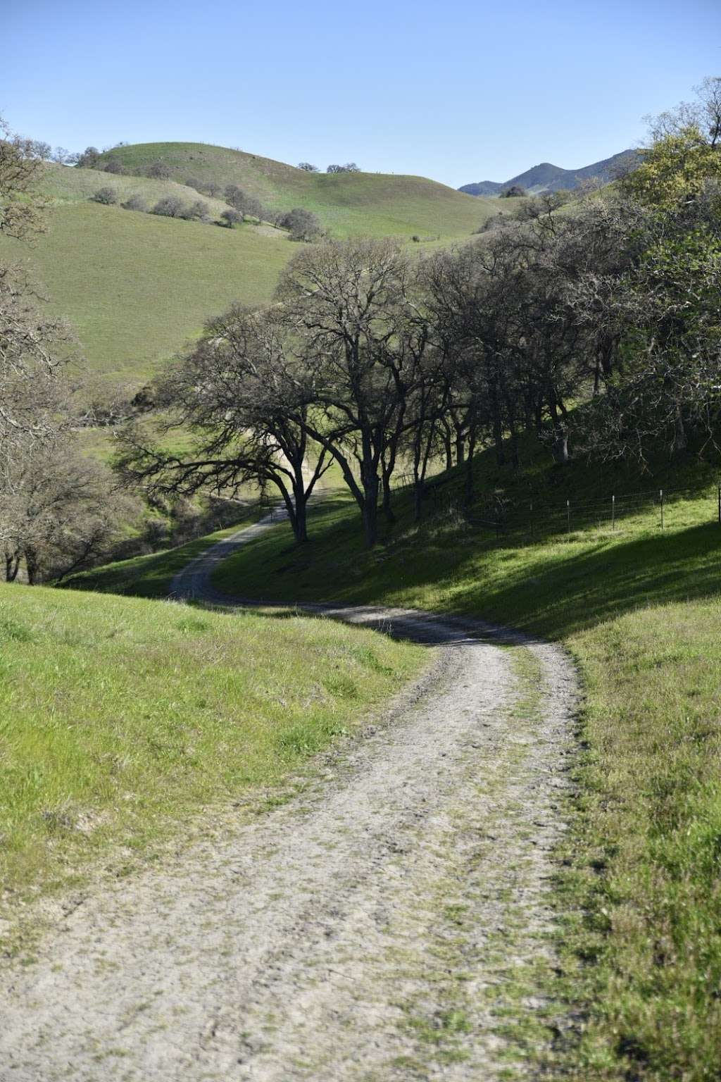 Livorna Staging Area, Diablo Foothills Regional Park | Livorna Rd, Alamo, CA 94507, USA