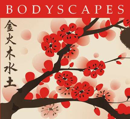 Bodyscapes Acupuncture | 3235 Vollmer Rd, Flossmoor, IL 60422 | Phone: (847) 864-6464