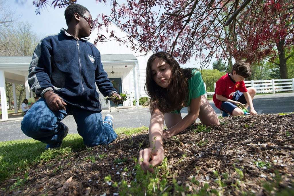 Greenspring Montessori School | 10807 Tony Dr, Lutherville-Timonium, MD 21093, USA | Phone: (410) 321-8555