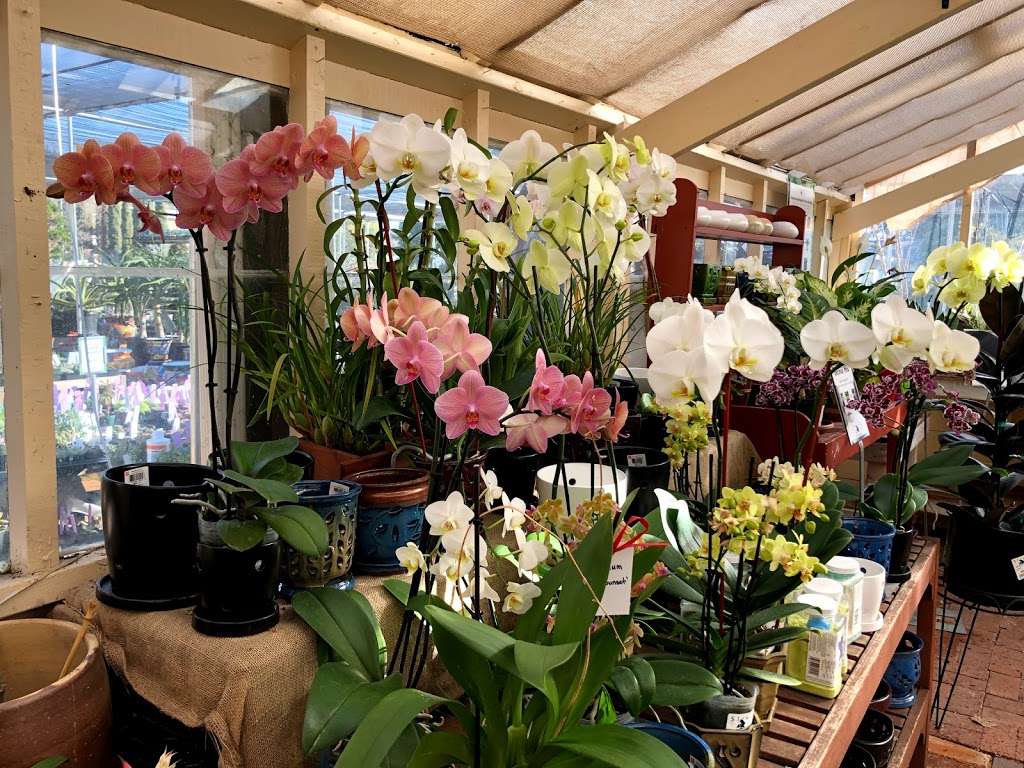 Sloat Garden Center | 828 Diablo Rd, Danville, CA 94526 | Phone: (925) 743-0288