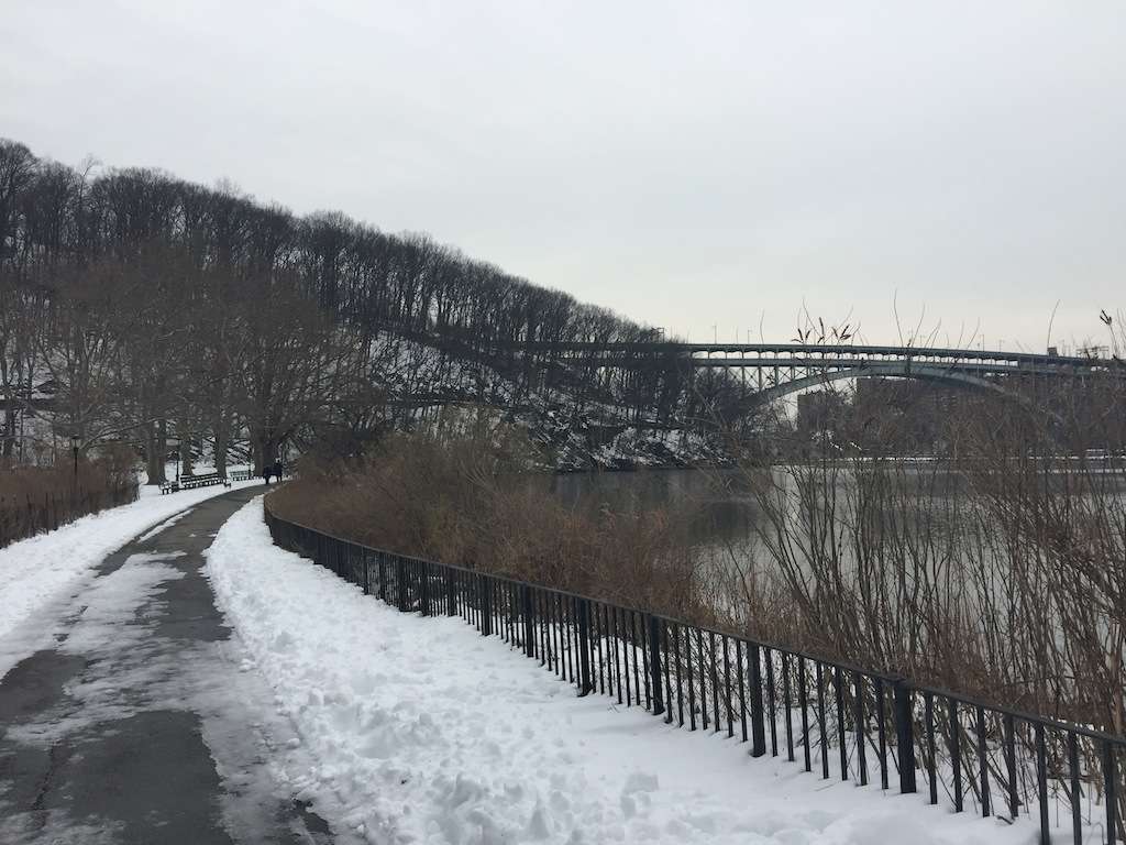 Inwood Hill Park Tree Of Peace | 2-34 Indian Rd, New York, NY 10034, USA