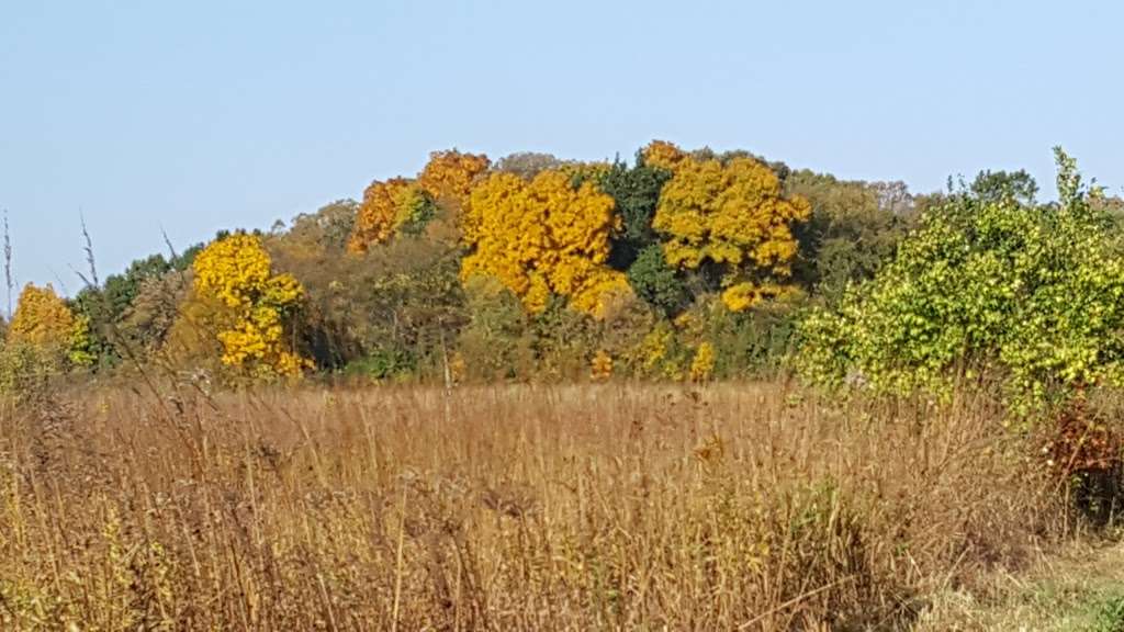 Otter Creek Forest Preserve | 37W870 Hopps Rd, Elgin, IL 60124, USA | Phone: (630) 232-5980