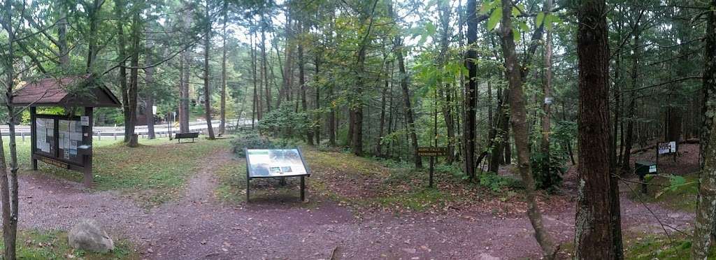 Evergreen Trail at Ricketts Glen | Benton, PA 17814