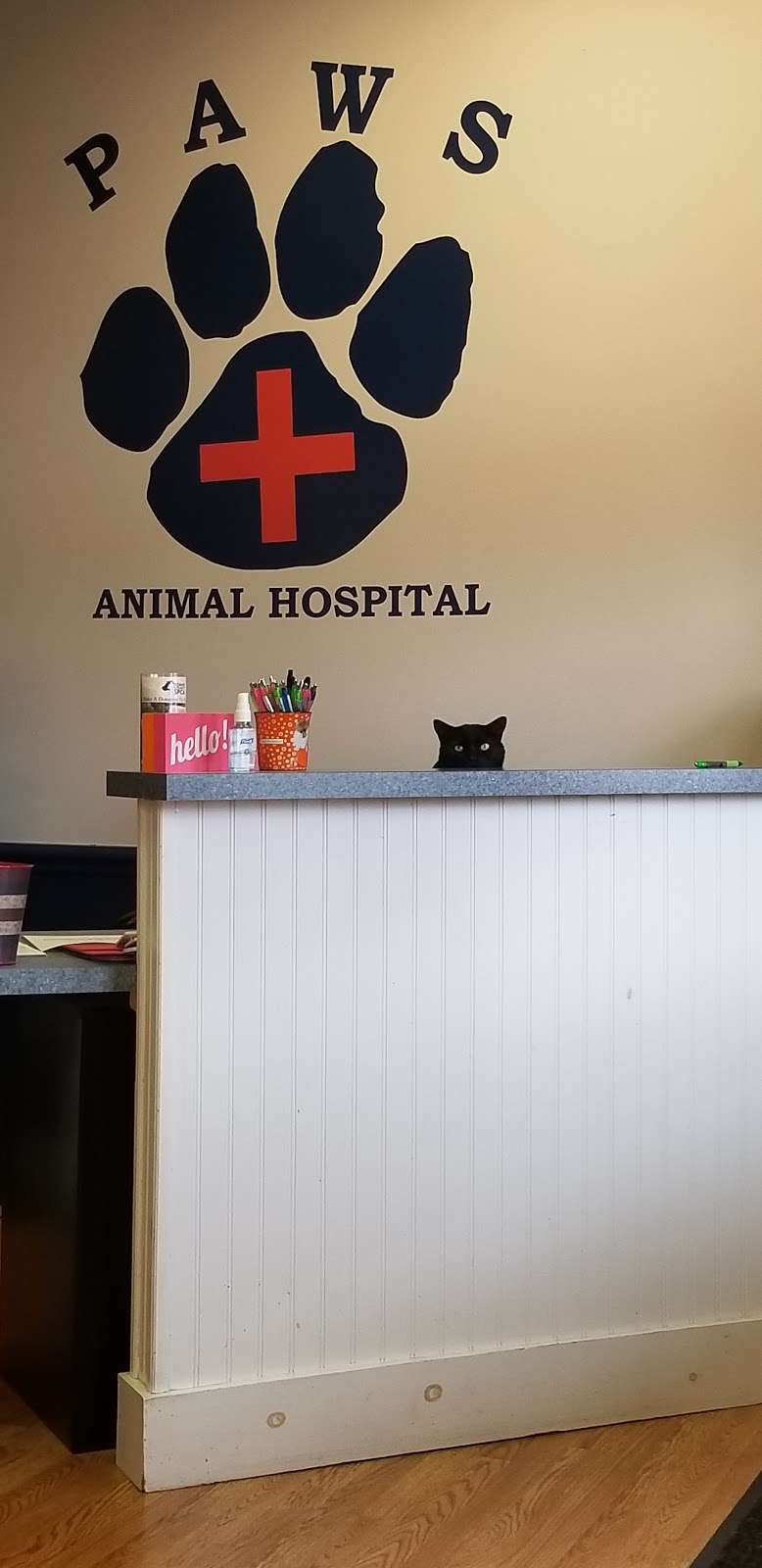 Paws Animal Hospital | 1055 Baltimore St, Hanover, PA 17331 | Phone: (717) 633-7297