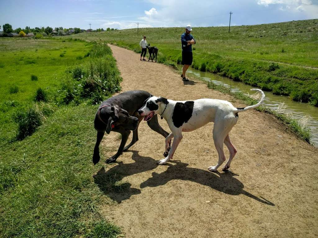 Westminster Hills Off-Leash Dog Park | 10499 Simms St, Westminster, CO 80005 | Phone: (303) 658-2192