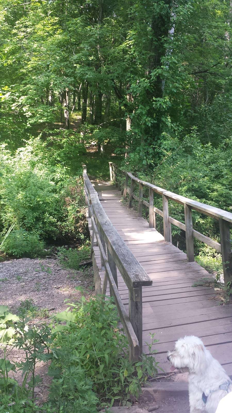 Coventry Farm Park In Princeton NJ 08540 USA