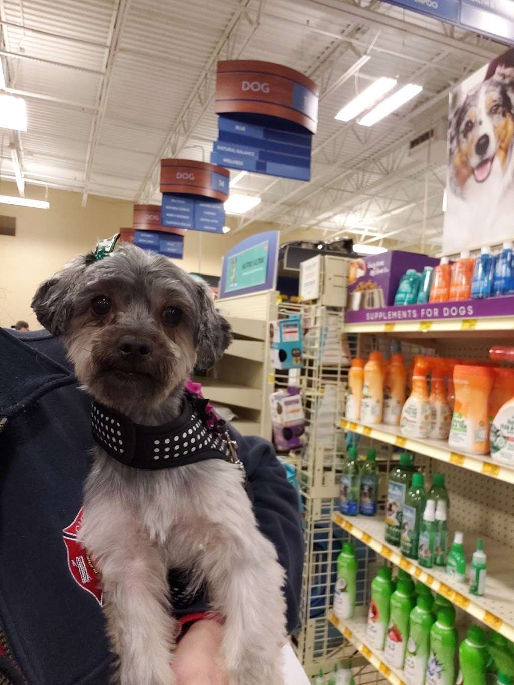 PetSmart | 15331 Montanus Dr, Culpeper, VA 22701, USA | Phone: (540) 825-8793