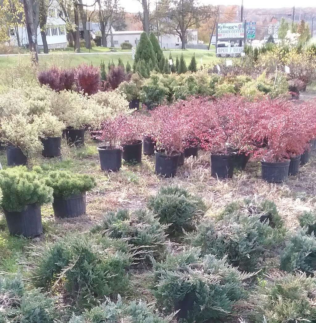 Paul Kelloggs Garden Center | PA-590 & Sawmill Rd, Lake Ariel, PA 18436 | Phone: (570) 689-7912