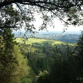 Tree Swing | Old Spanish Trail, Portola Valley, CA 94028, USA