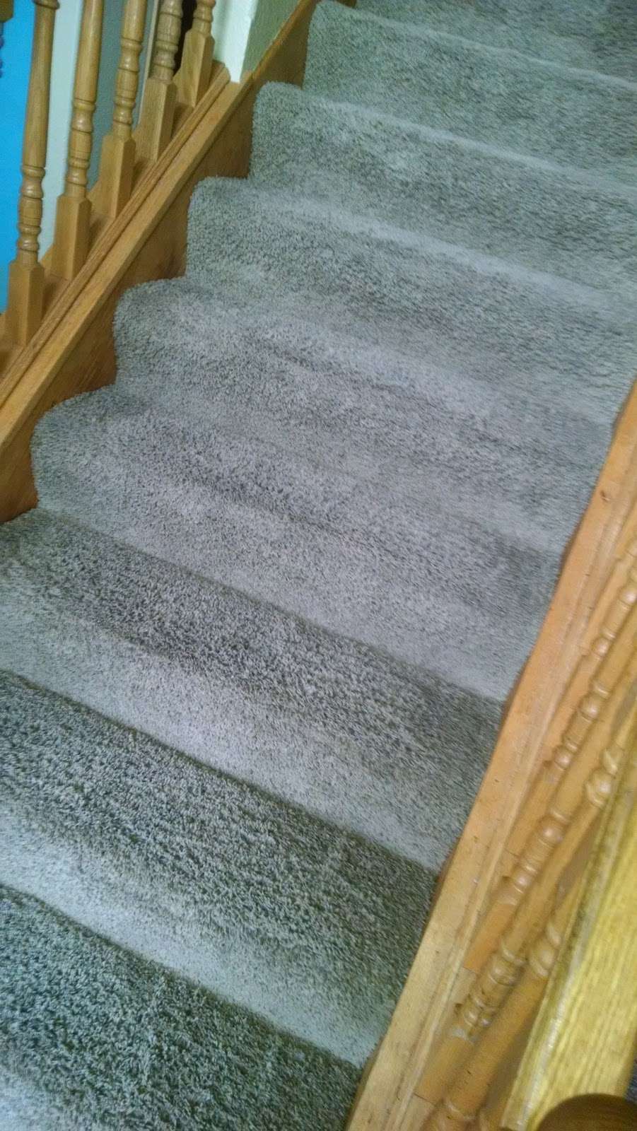 ProMax Carpet Clean | 4197 S 68th St, Greenfield, WI 53220, USA | Phone: (262) 777-1362