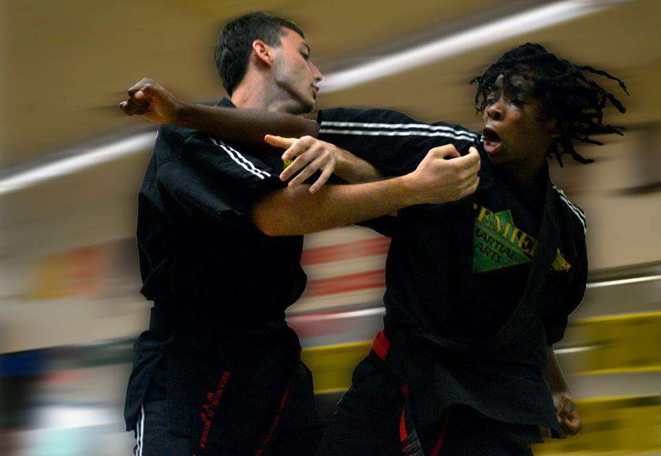 Premier Martial Arts Dover | 321 Independence Blvd, Dover, DE 19904 | Phone: (302) 674-1985