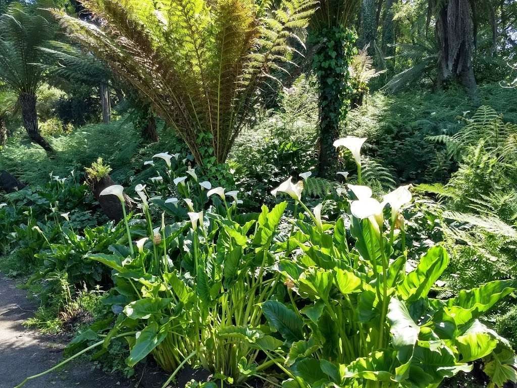 California Native Garden | San Franciscio Botanical Garden, San Francisco, CA 94122, USA | Phone: (415) 661-1316