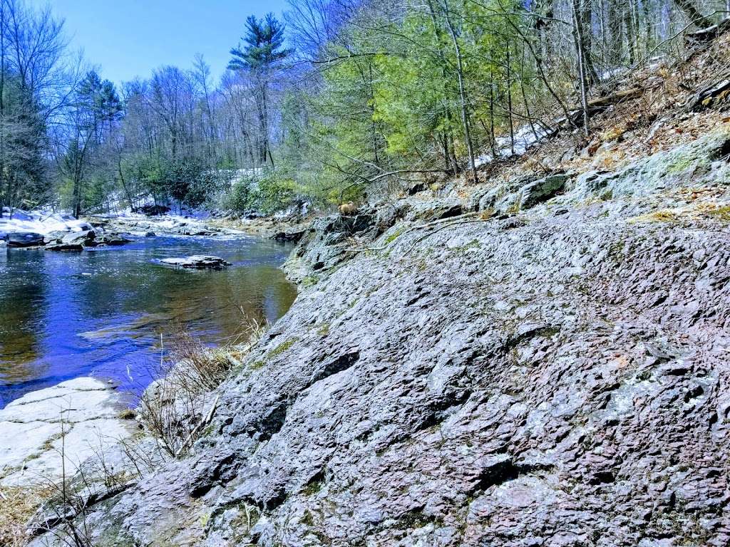 Austin T. Blakeslee Natural Area | 20 PA-115, Blakeslee, PA 18610