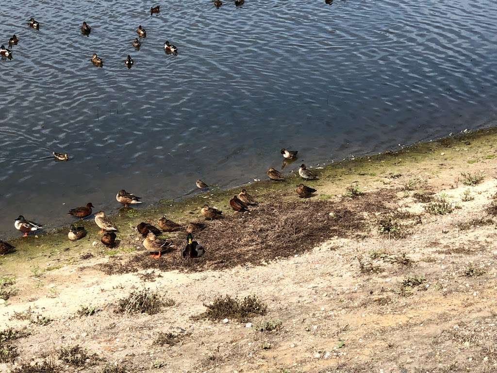 UC Irvine Ecological Preserve | Irvine, CA 92617, USA