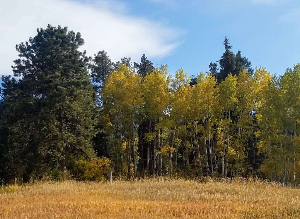 Meyer Ranch Park | 10490 S Turkey Creek Rd, Morrison, CO 80465, USA | Phone: (303) 271-5925