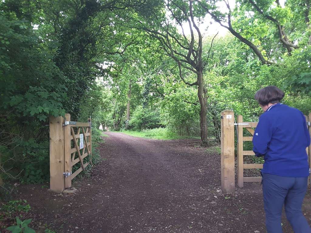 Suntrap Forest Education Centre | Church Rd, Waltham Abbey, Loughton IG10 4AJ, UK | Phone: 020 8508 0611