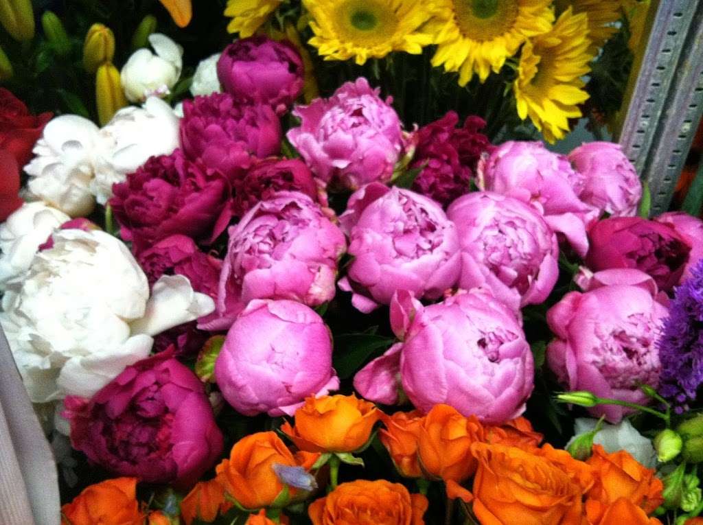 Anything Floral - florist  | Photo 7 of 10 | Address: 411 Springfield Ave, Berkeley Heights, NJ 07922, USA | Phone: (908) 464-5445