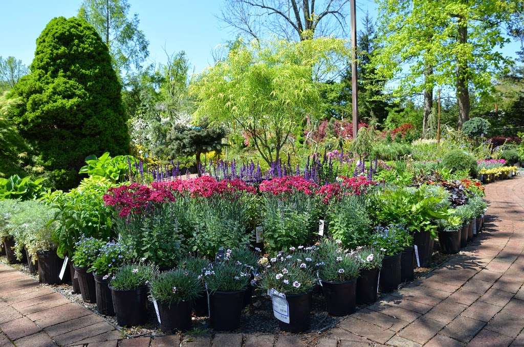 Baumley Nursery & Landscaping of Princeton | 4339 NJ-27, Princeton, NJ 08540, USA | Phone: (609) 924-6767