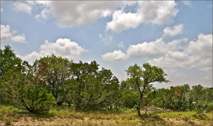 Timberwood Development Co | 25120 Blanco Rd, San Antonio, TX 78260, USA | Phone: (210) 497-0695