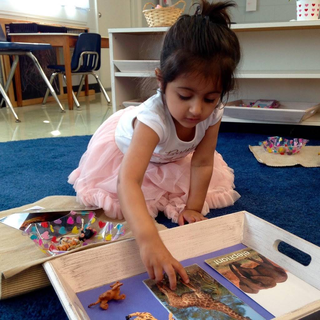 Montessori House Day School - Carrollwood | 5117 Ehrlich Rd, Tampa, FL 33624 | Phone: (813) 961-9295