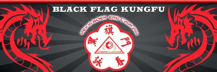 Black Flag Kung Fu | 11047 Pierson Dr, Fredericksburg, VA 22408 | Phone: (540) 907-6256