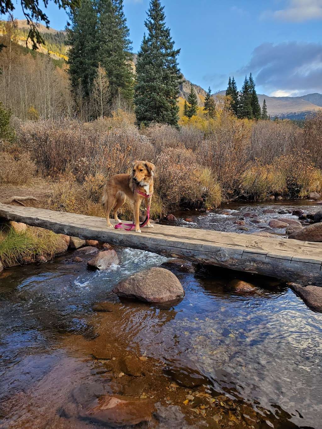 Abyss Trailhead | Grant, CO 80448, USA