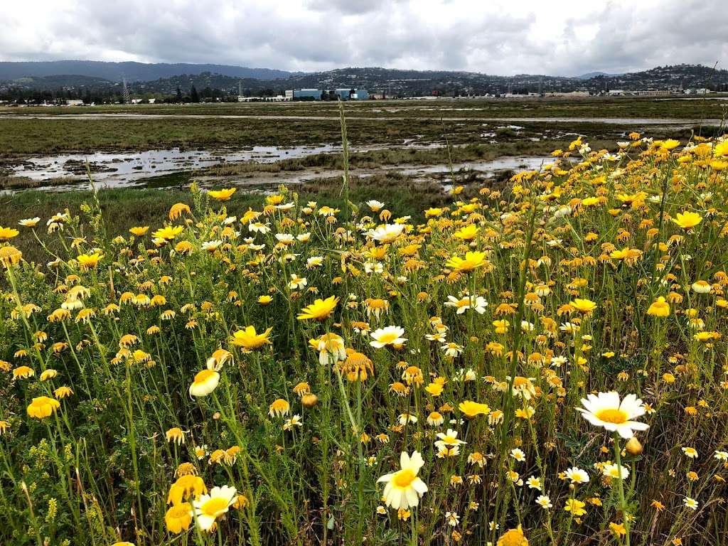 Bair Island Wildlife Refuge & Trail | 3 Uccelli Dr, Redwood City, CA 94063, USA | Phone: (415) 561-5510