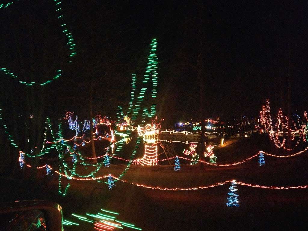 23+ Zootastic Christmas Lights 2021