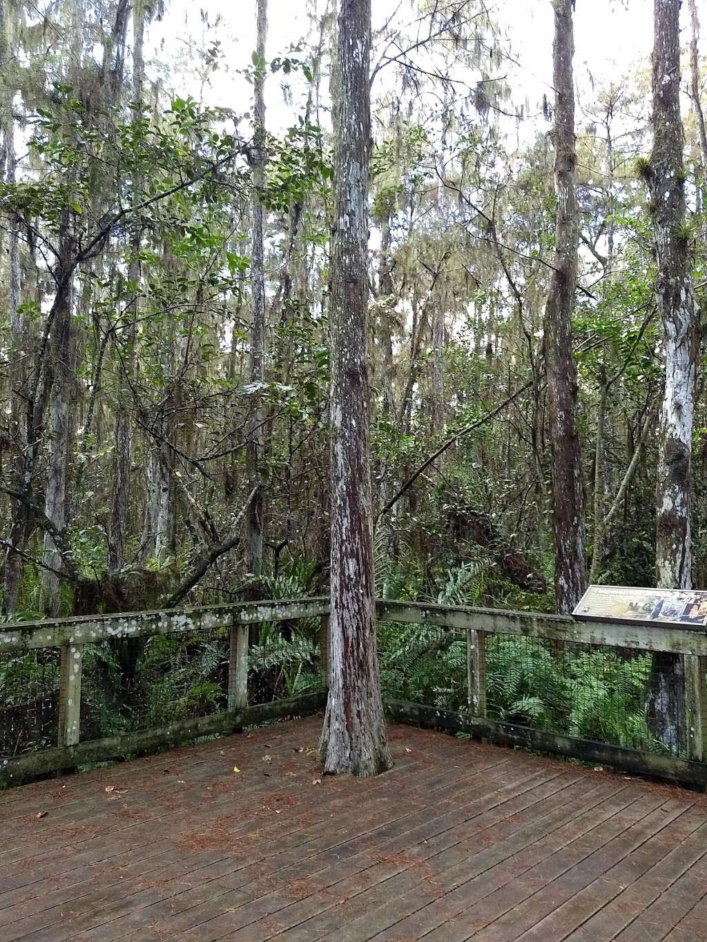 Arthur R. Marshall Loxahatchee National Wildlife Refuge Visitor  | 10216 Lee Rd, Boynton Beach, FL 33473