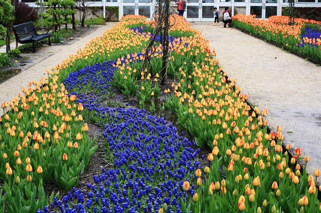 Garfield Park Conservatory Gift Shop | 300 N Central Park Ave, Chicago, IL 60624, USA | Phone: (312) 746-5100